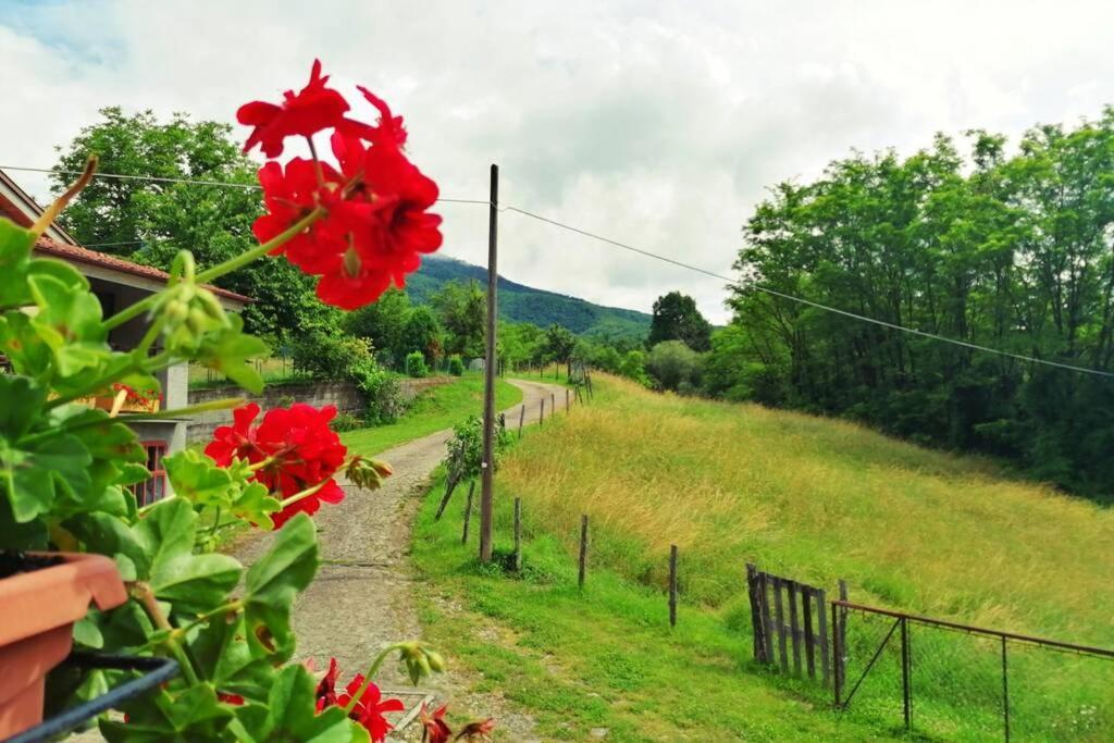 Holiday home Casa Di Anita Bedonia